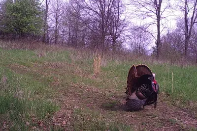 Image de Rescued Wood Bunkhouse-Sleeps 8 hunters. Full kitchen and bath. Lots of parking.
