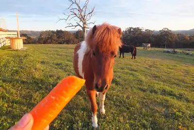Image de Heart of the Farm Country Cottage