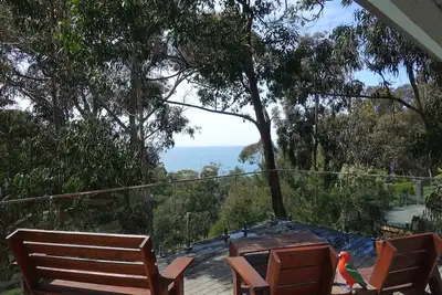 Image de Bespoke house in the trees with ocean views.