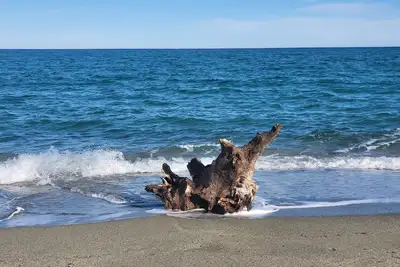 Image de Nouveau Mer calme au soleil
