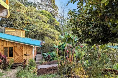 Image de Cabin next to the forest with mountain view