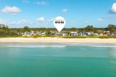 Image de Weedy Seadragon by Experience Jervis Bay
