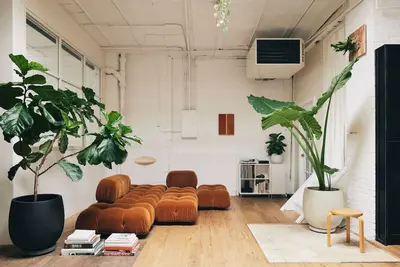 Image de Sun Soaked Mid Century Modern Design 2-bedroom Loft in Brooklyn with Pro Kitchen