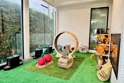 Jie's Choice - Enchanted Garden Hideout