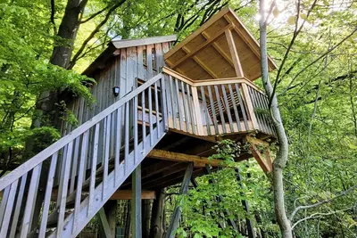 Image de Tree house Sollingblick, living/bedroom - Baumhaushotel Solling
