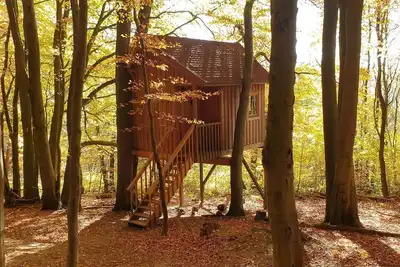 Image de Tree house Ahletal, living/bedroom - Baumhaushotel Solling