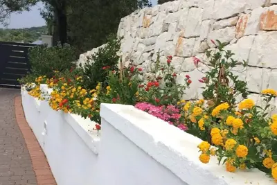 Image de Il Quieto Uliveto: Serene villetta with Olive trees and garden