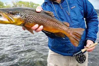Image de The Trout House- An Authentic Montana Cabin, Perfect for Yellowstone Adventures!