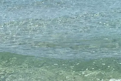 Image de San Foca, Blue Flag of Europe and 5 Sails, 200m sea trilo, 8px, garden