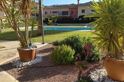 Image de 3 piscines, Soleil, palmiers, Animal accepté. Des vacances de rêve.