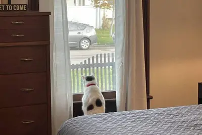 Indy Charm: Minutes to Downtown!