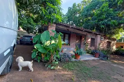 Image de Between Mangos and Tucanes, home in the heart of the yungas