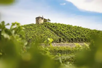 Image de A private beach escape near Pier 60