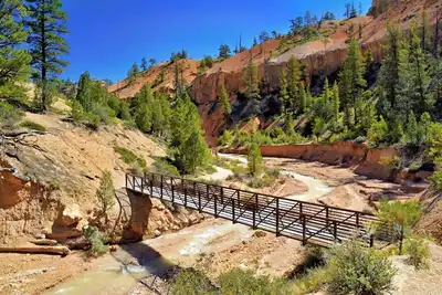 Image de Your hiatus by the beach in Clearwater