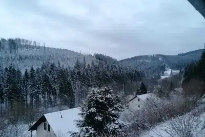 Image de Appartement 'Ferienwohnung Wald-Ausblick' avec terrasse privée et balcon
