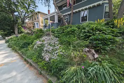 Image de Spacious family 5-bedroom with yard and workspaces in historic Brookline