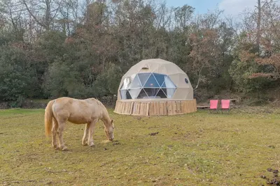 Image de Maison d'hôtes 'La Cabane Aux Chevaux' avec jardin privé