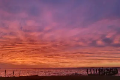 Image de The Green Heron Waterfront Albemarle Sound