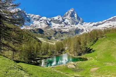 Image de Chicago comfort on the South Loop