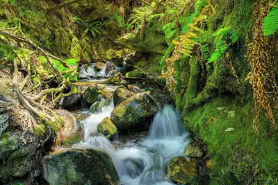 Image de A stylish stay steeped in Chicago history