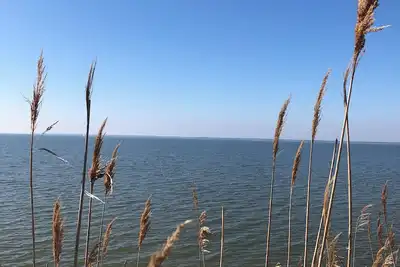 Image de Near Chincoteague & Assateague Island\nCharming 2-bedroom cottage