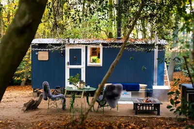 Image de If you go into the woods today. . . Off-grid yet comfy, warm and luxurious