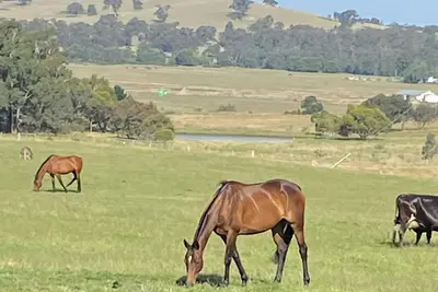 Image de Endless night sky. Stargazers heaven- Relax revive and renew - Farm retreat.