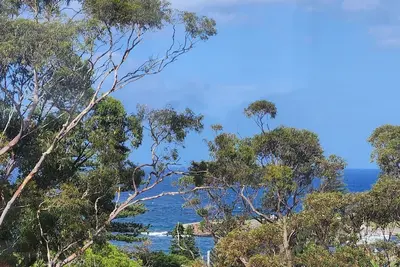 Image de The Cabbage Palm Kiama. 5 min walk to everwhere. Location Location Location!