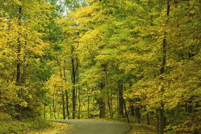 Image de Close to downtown and museums