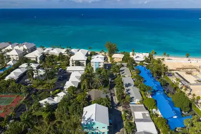 Image de Lizard Fun #202- Rates Slashed For The Summer