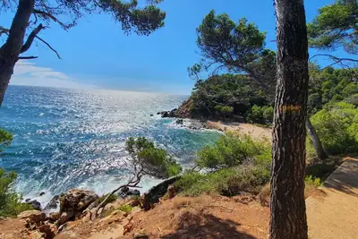 Image de Studio face à la mer - Résidence d'exception avec piscines, tennis, plage privée