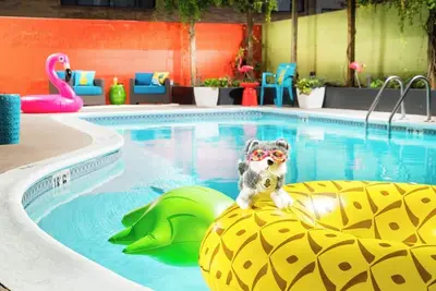 Image de Staypineapple's Comfort Stay, Two Queen Beds, Pet-Welcoming, By University