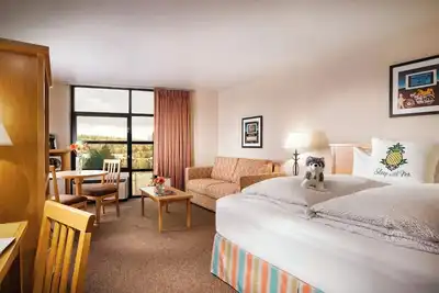 Image de Spacious Junior Suite w/ Pool in Vibrant University District | Free Parking