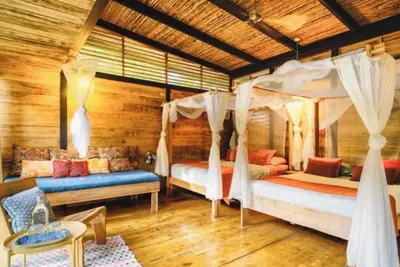 Image de Deluxe Twin Room
