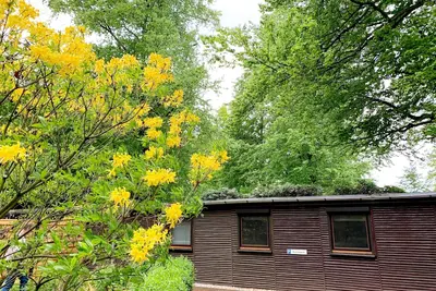 Image de Cozy vacation home for up to 10 guests Grill/fire bowl/darts near Rakotzbrücke