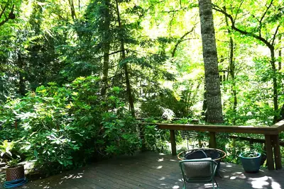 Image de Forest Retreat in Eugene – Stylish Home w/ Hot Tub, Chef's Kitchen & Trails