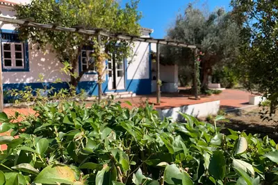 Image de Maison de campagne \"Quinta do Céu - Refuge in Alentejo\", un cadre idyllique