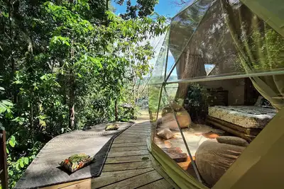 Image de Suave Vida Jungle Dome
