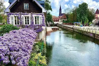 Image de Downtown Minneapolis hotel near Target Field