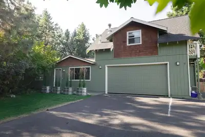 Image de Bluebird Day - Lodgepole Pine
