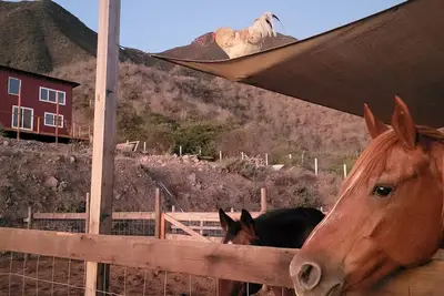 Charming casita on Lucky Tree Ranch horse ranch with 360° Views Ocean Mountains