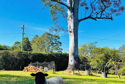 Image de Country Retreat Bellingen