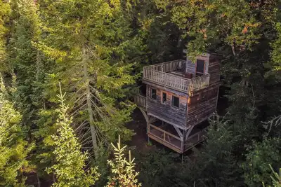 Image de Cabane dans les arbres #02