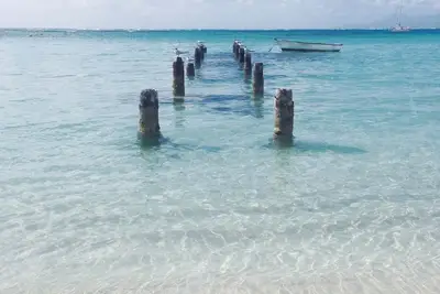 Image de Le numéro 16 Résumé: