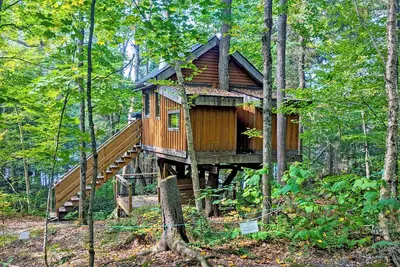 Image de Cabane dans les arbres #08