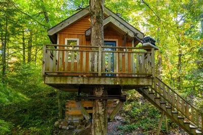 Image de Cabane dans les arbres #10