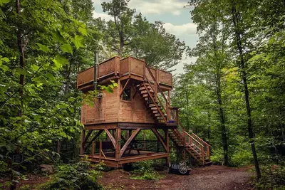 Image de Cabane dans les arbres #11