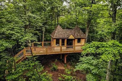 Image de Cabane dans les arbres #15