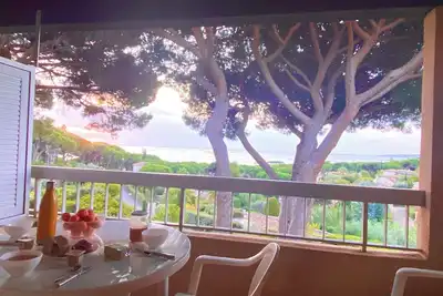 Image de La pinède et la mer