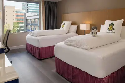 Two Restful Downtown Portland Rooms | Pets are Allowed